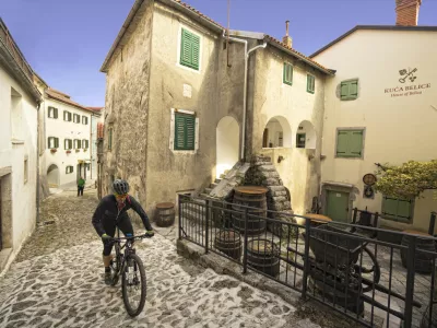 Photo by Petar Kurschner