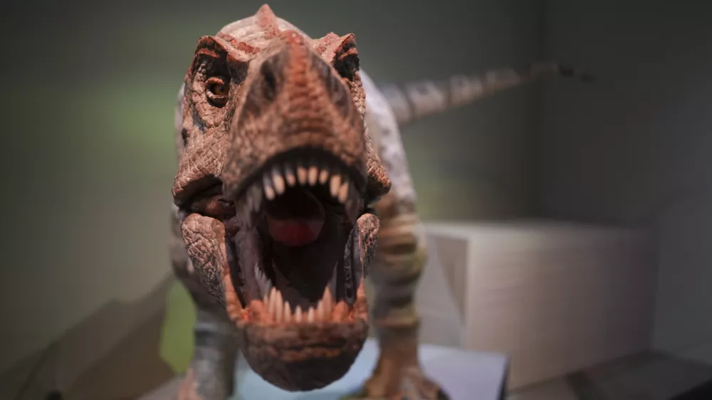 The Animatronic T Rex: Paul displays at the exhibition "Extinction. Resilience" in Palaeontology Gallery in Hong Kong Science Museum, Tsim Sha Tsui. 30OCT24. SCMP / Sam Tsang