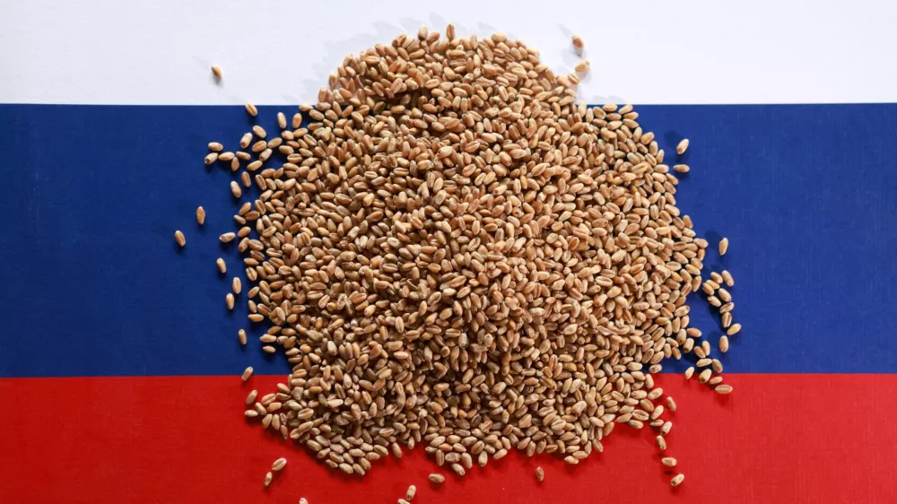 FILE PHOTO: Russian flag and wheat grains are seen in this illustration taken September 14, 2025. REUTERS/Dado Ruvic/Illustration/File Photo