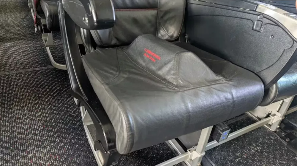 Nenavaden sedež na letalu / Foto: Reddit/themoldyone