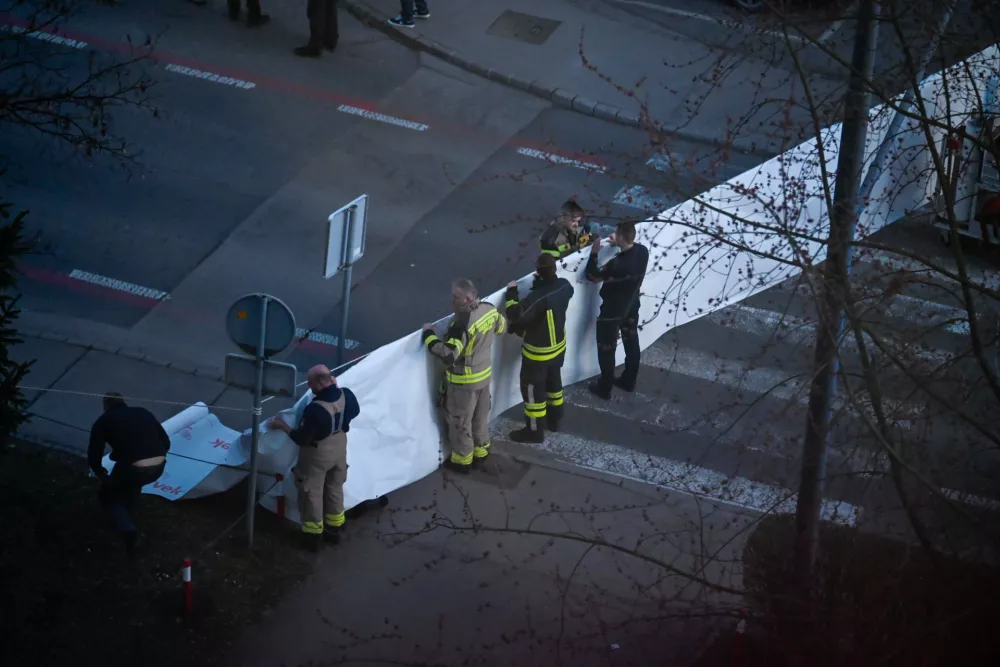 Brez opozorilnega strela: na 25-letnika sta streljala dva policista