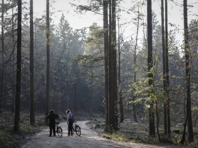 Kak&scaron;ne so možnosti brezplačnega ali cenej&scaron;ega cepljenja