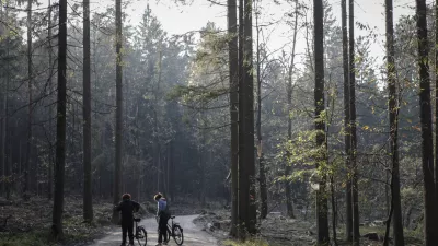 Kakšne so možnosti brezplačnega ali cenejšega cepljenja