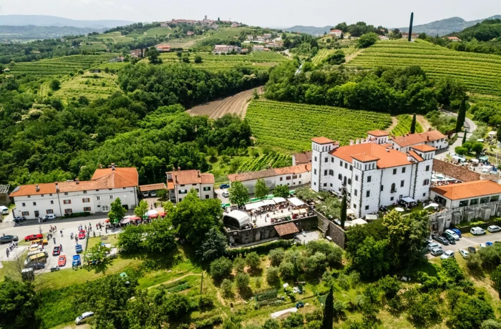 Grad Dobrova F ZTKM&Scaron; Brda