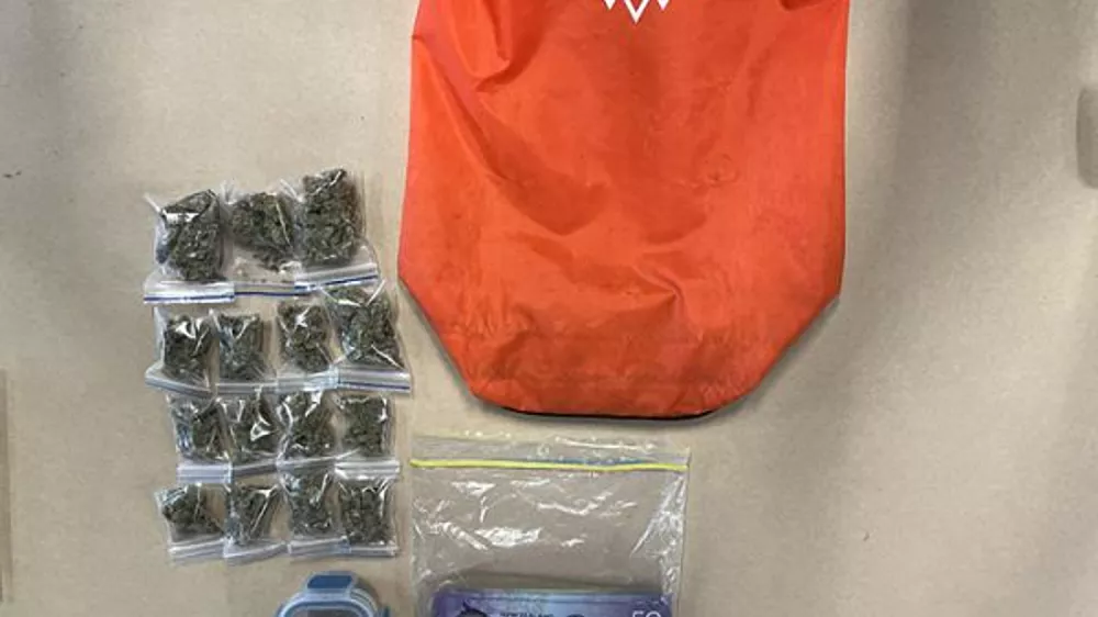 In this image provided by the New Zealand Police items donated to a charity story including marijuana and cash are displayed in Southland, New Zealand, Feb. 18, 2026. (New Zealand Police via AP)