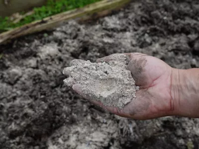 V tem pepelu se skriva marsikaj koristnega. / Foto: Istock