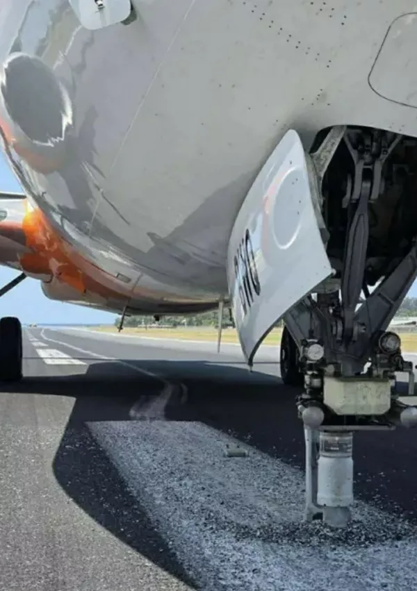 Sprednja kolesa so preprosto odpadla. / Foto: Profimedia