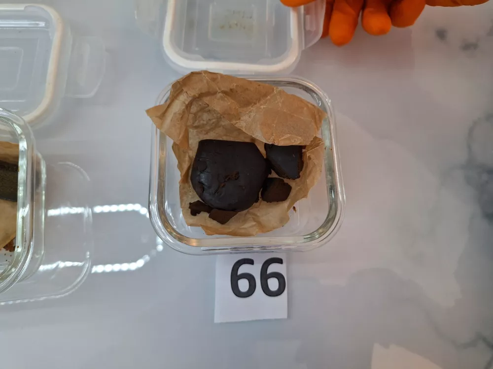 red eye monkey rok setnikar prepovedane droge hi&scaron;na preiskava