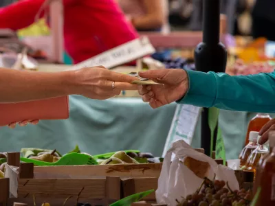 Ni vseeno, kako je potro&scaron;nik za&scaron;čiten, politične stranke pa imajo glede tega precej različne poglede. / Foto: Istock
