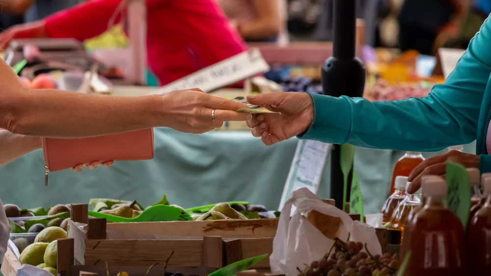 Ni vseeno, kako je potro&scaron;nik za&scaron;čiten, politične stranke pa imajo glede tega precej različne poglede. / Foto: Istock