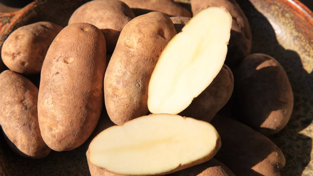 Sveži krompir. Slika je simbolična. / Foto: Istock
