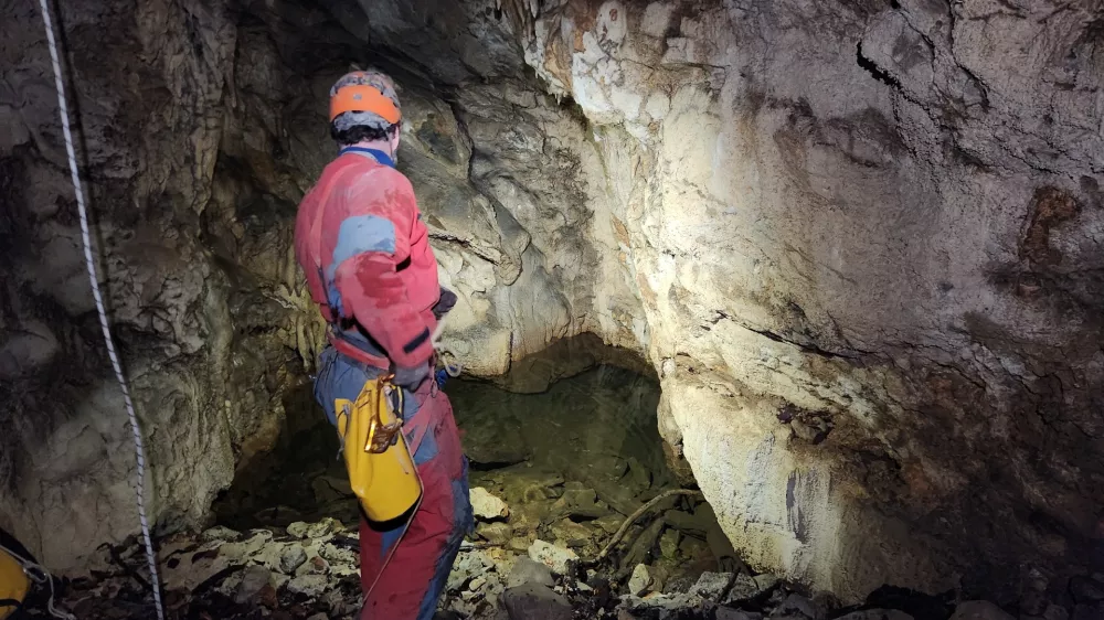 Črna člove&scaron;ka ribica: re&scaron;evanje ogroženega zaklada Bele krajine