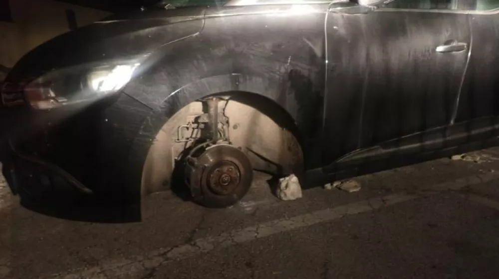 tatvine plati&scaron;č