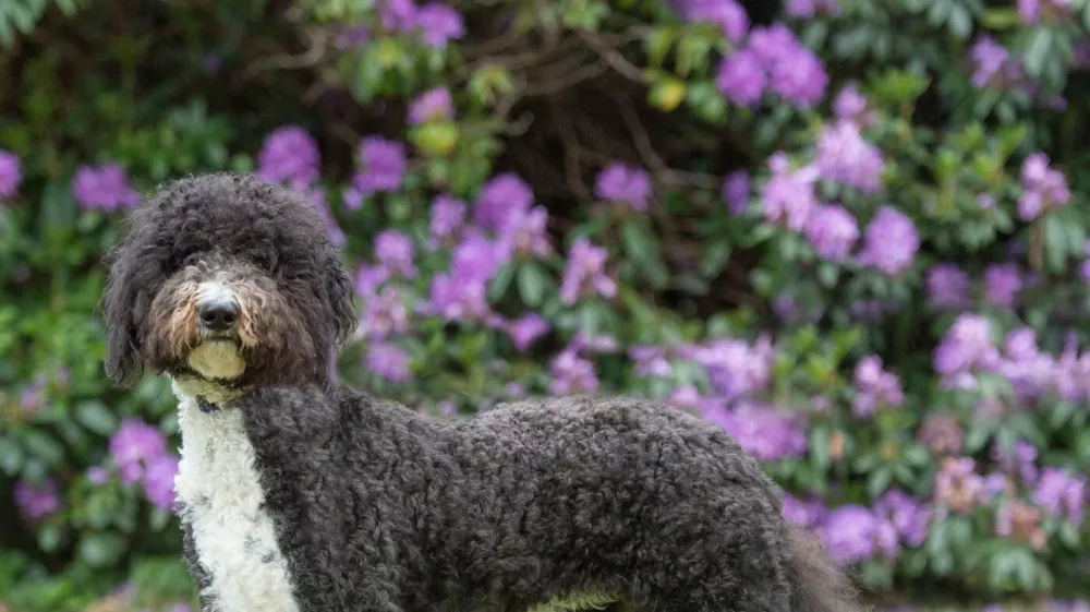 Image: 1005224168, License: Rights-managed, Restrictions:, Model Release: no