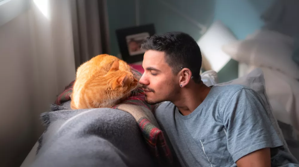 Mačke uporabljajo svoj močan voh za prepoznavanje in komunikacij z drugimi mačkami in tudi z ljudmi. Foto: iStock