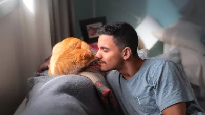 Mačke uporabljajo svoj močan voh za prepoznavanje in komunikacij z drugimi mačkami in tudi z ljudmi. Foto: iStock