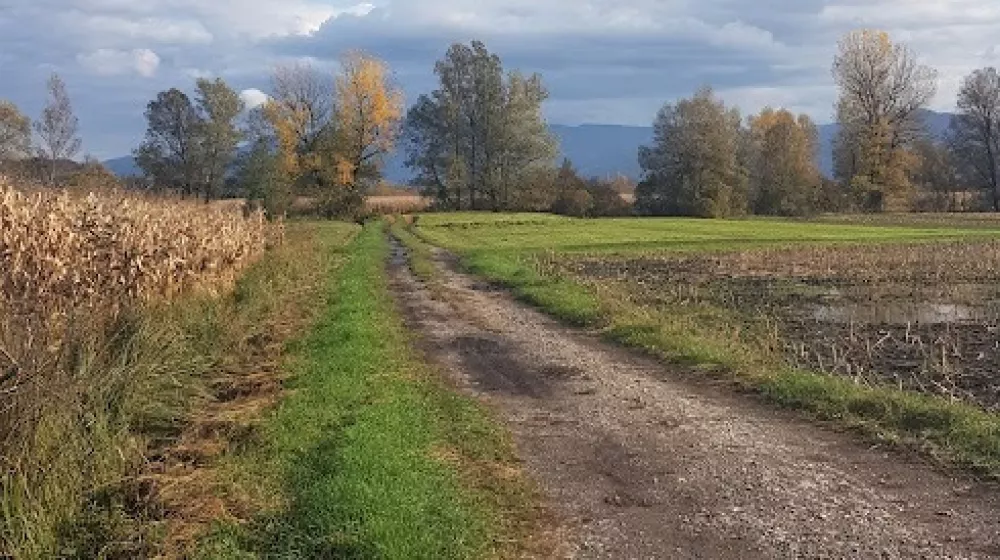 njiva, sprehod, polje, barje