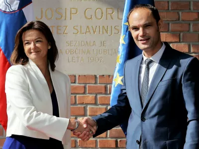 Tanja fajon anže logar