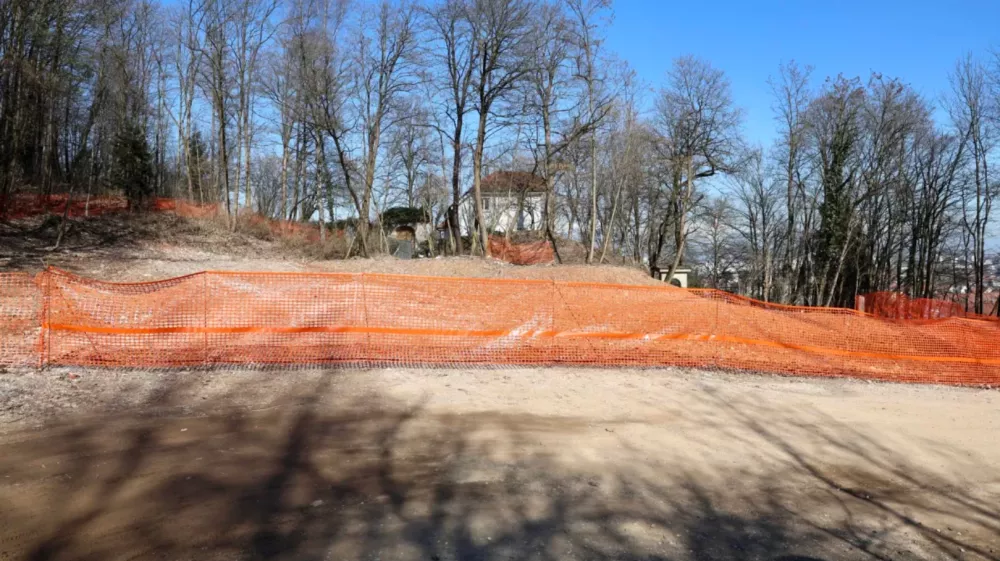 ru&scaron;evina bellevue, pot