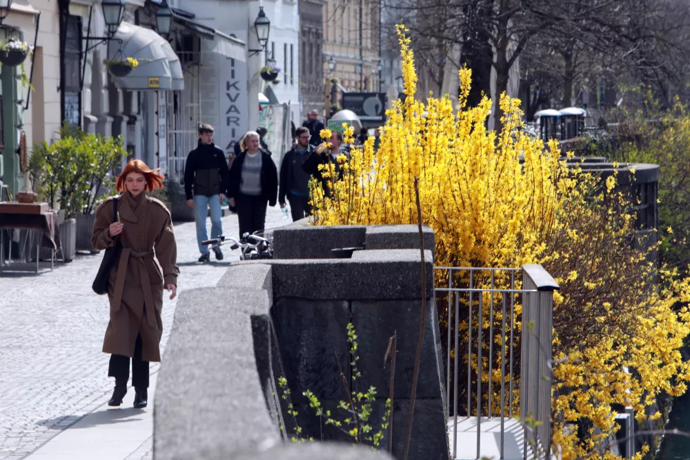 (FOTOZGODBA) Danes &scaron;e v cvetju, jutri v snegu