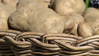 Ko&scaron;ara krompirja