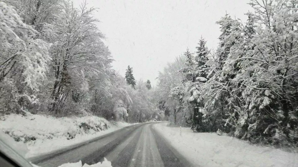 Stara cesta Postojna - Unec. Foto: Veronika Rupnik Ženko