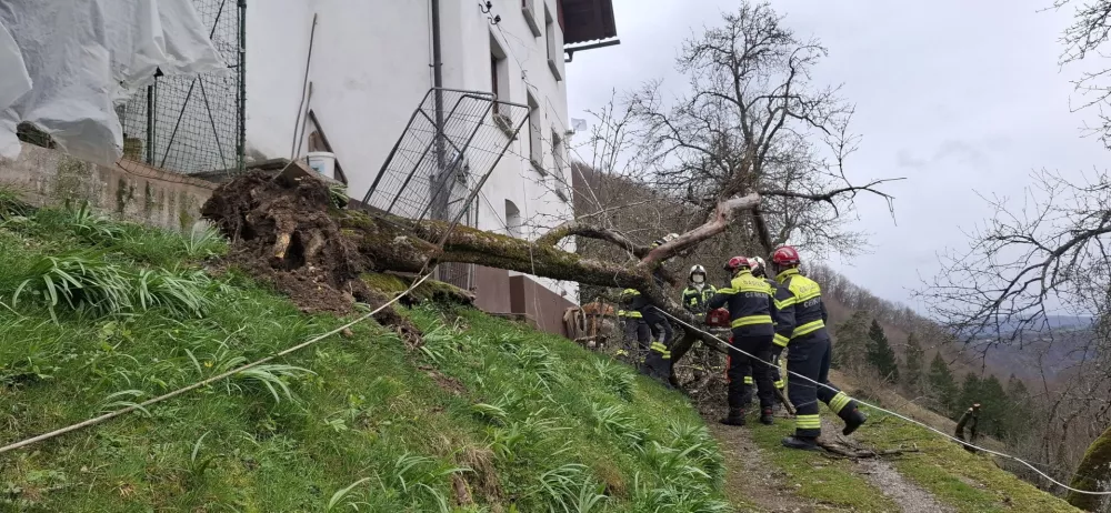 Na območju občine Cerkno poteka intervencija večjega obsega zaradi močnega vetra. Tekom dneva so gasilci posredovali na vsaj 25 intervencijah in sicer pri prekrivanju streh objektov (19 objektov), odpiranju cest ter razbremenitvi telefonskih linij zaradi podrtega drevja. Najbolj prizadeta so območja Bukovega, Zakriža, Gorje ter Cerkno. Aktiviranih je bilo več kot 80 gasilcev iz večine prostovoljnih dru&scaron;tev v občini. Ekipe gasilcev so &scaron;e vedno na terenu, kjer odpravljajo posledice vetroloma, drugi ostajajo v pripravljenosti.Trenutno ostaja zaprta cesta Zakriž-Ravne.Neugodni vremenski pojavi so napovedani tudi za naslednje ure, zato gasilci in civilna za&scaron;čita svetujejo, da najprej poskrbite za svojo varnost, spremljate obvestila, se zadržujete v zaprtih prostorih ter se izogibate bližine elektirčnih daljnovodov ter povr&scaron;in poraslih z drevjem.Ker &scaron;e vedno močno piha se na posameznih objektih ne izvajajo aktivnosti, ker je prenevarno za re&scaron;evalce. Sanacija bo potekala tekom jutri&scaron;njega dne (petek 27.3.).