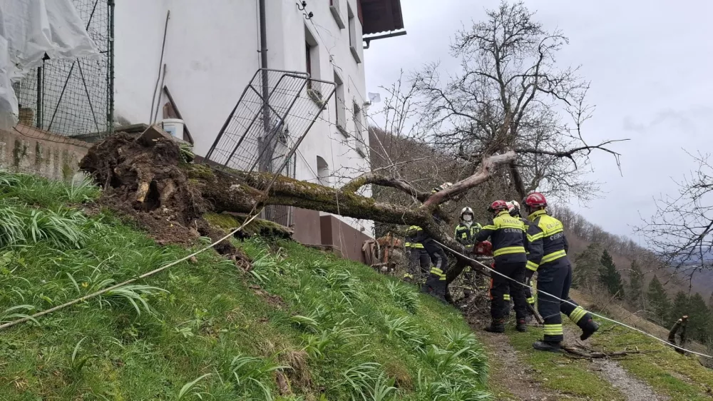 Močan veter je ruval drevesa. Foto: PGD Cerkno