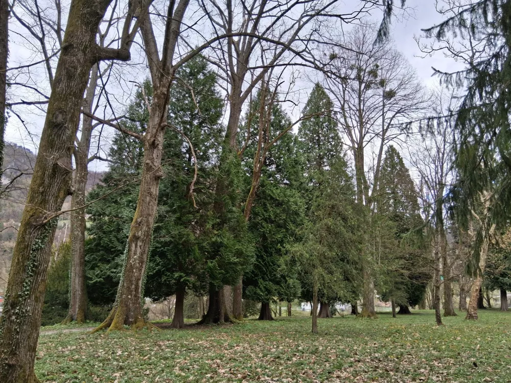 park Dvor Savus pot / Foto: Katja Petrovec