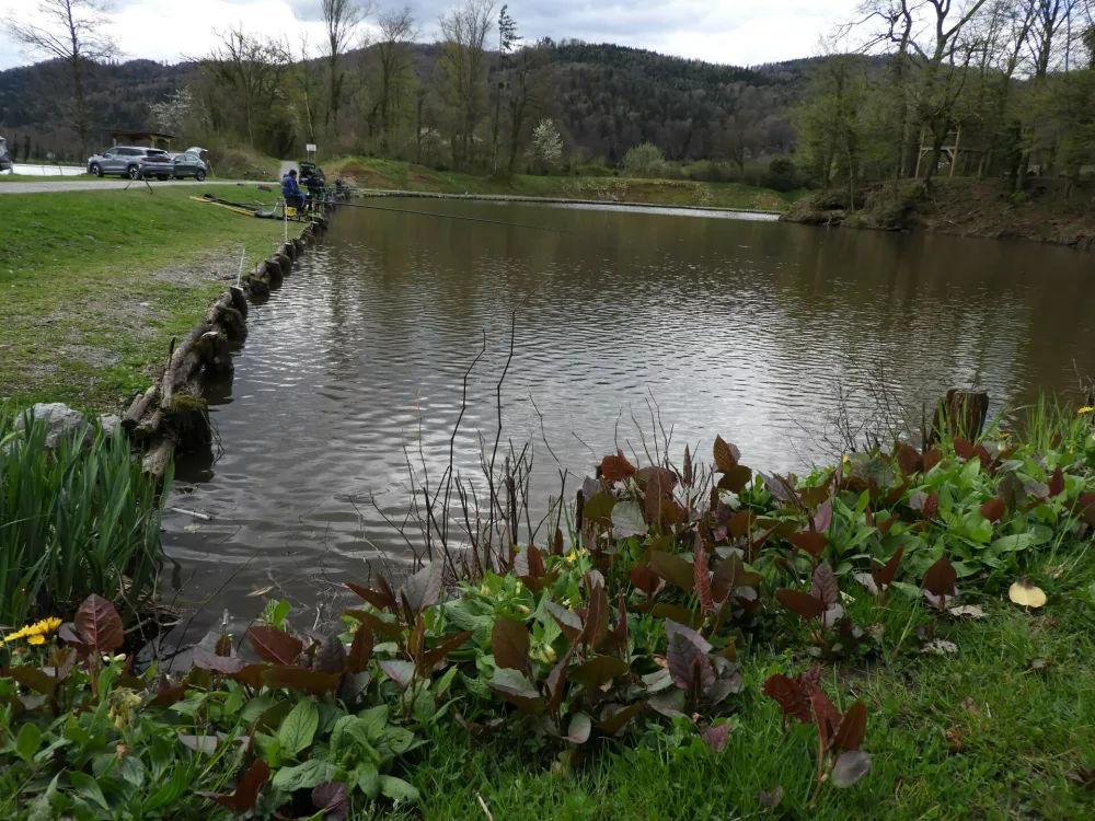savus učna gozdna pot / Foto: Katja Petrovec