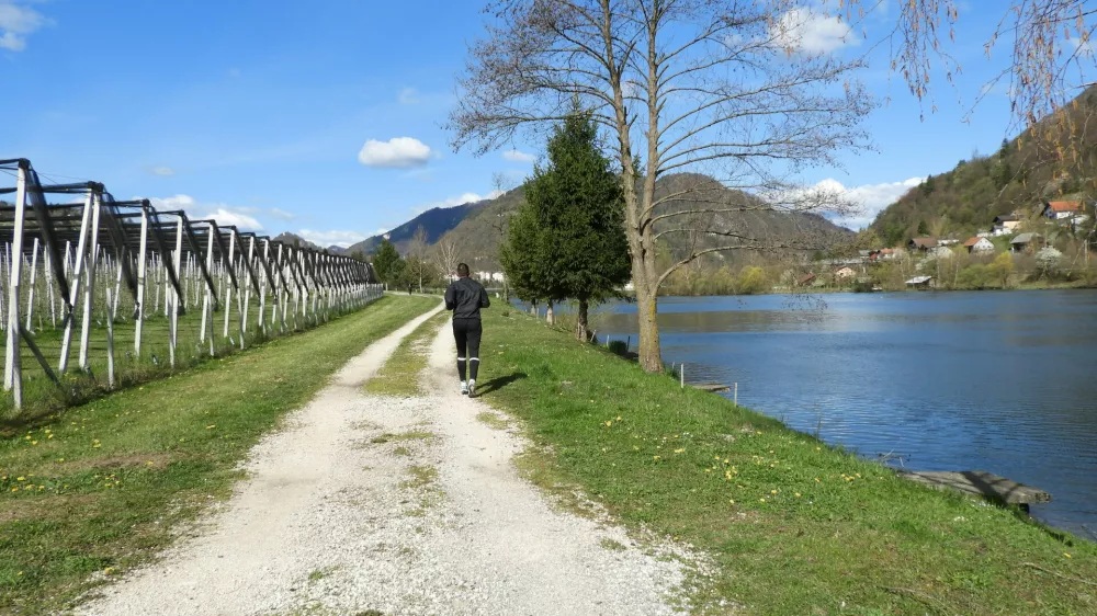 savus učna pot / Foto: Katja Petrovec