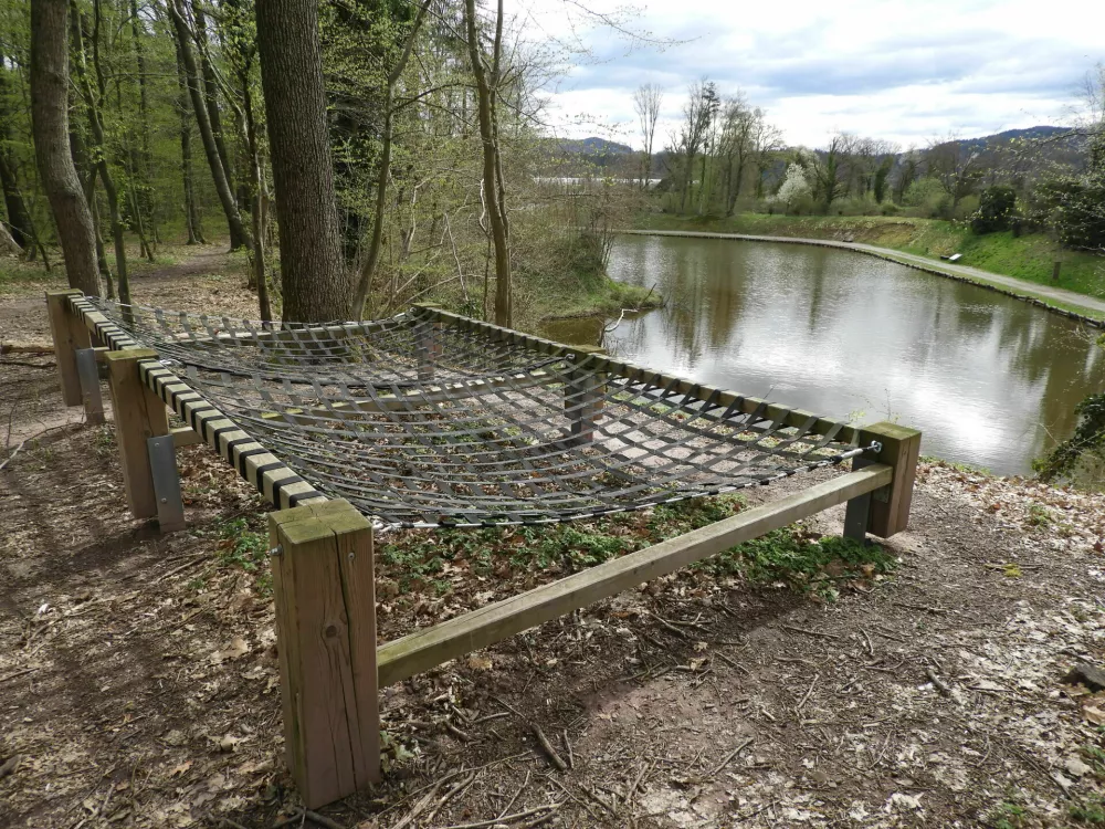 savus učna gozdna pot / Foto: Katja Petrovec 