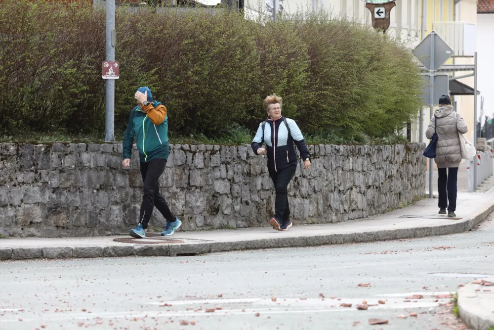 27.3.2026 - Vetrolom - močan veter - rdeči alarmFoto: Luka Cjuha