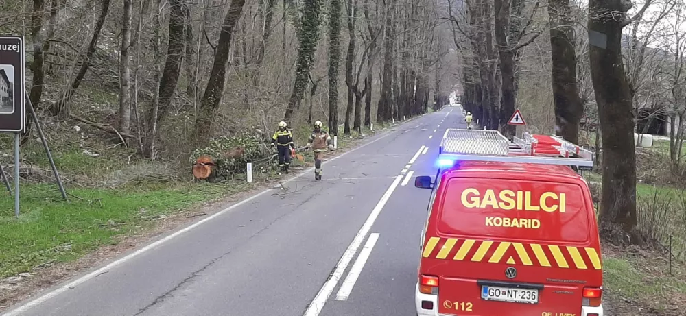 Obcina Kobarid.Posledice mocnega vetra v obcini Kobarid.Foto: Arhiv CZ Kobarid