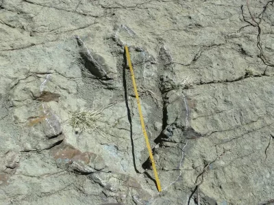 A 1.2-metre diameter footprint of a dinosaur found in Maragua Marka Quila Quila, 64 km northeast of Sucre, Bolivia, on August 8, 2016. According to palaeontologists, the footprint belongs to an abelisauroid theropod dinosaur that lived 80 million years ago.,Image: 296977053, License: Rights-managed, Restrictions:, Model Release: no