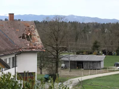 27.3.2026 - Vetrolom - močan veter - rdeči alarmFoto: Luka Cjuha