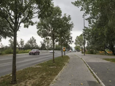 - 28.08.2023 &ndash; Barjanska cesta - drevored //FOTO: Luka Cjuha