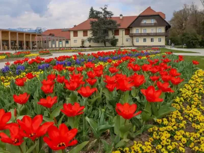 Pomlad se v Arboretumu Volčji Potok že prebuja. / Foto: Arboretum