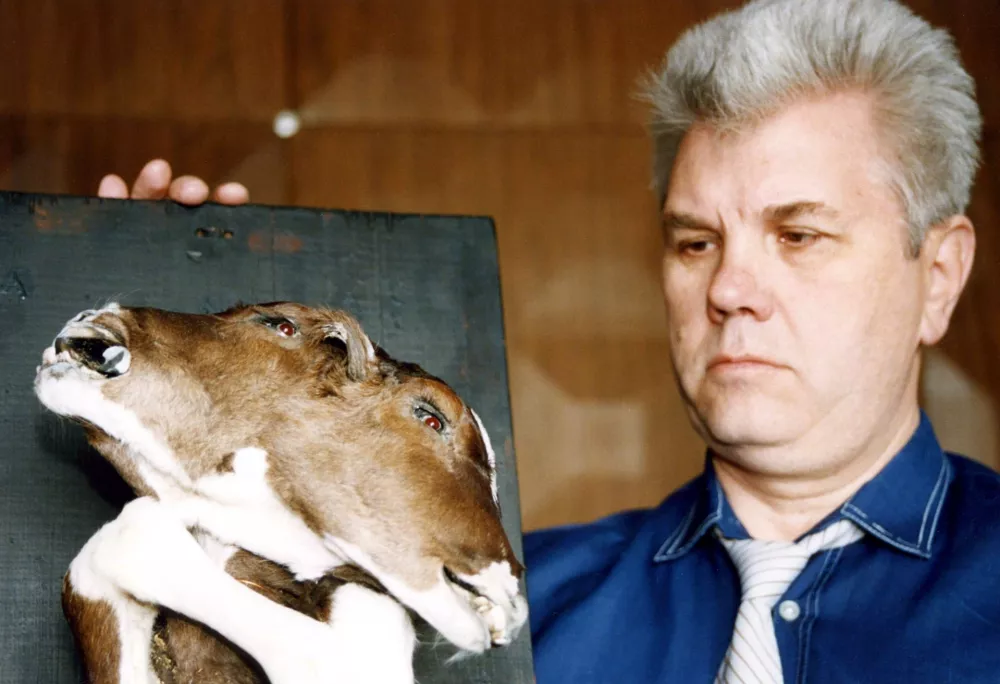 Na območju so odkrili tudi celo vrsto nenavadnih Vječeslav S. Konovalov. / Foto: Profimedia