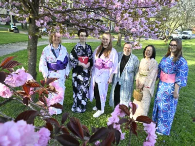 08.04.2026 Hanami Festival 2026 - praznik cvetenja japonskih če&scaron;enj - Biotehni&scaron;ka fakulteta UL, Oddelek za gozdarstvo UL BF..FotoNik Erik Neubauer..