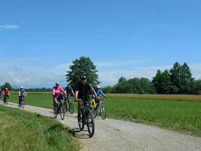 Kolesarjenje po Ljubljanskem barju; Cycling through the Ljubljana marshes