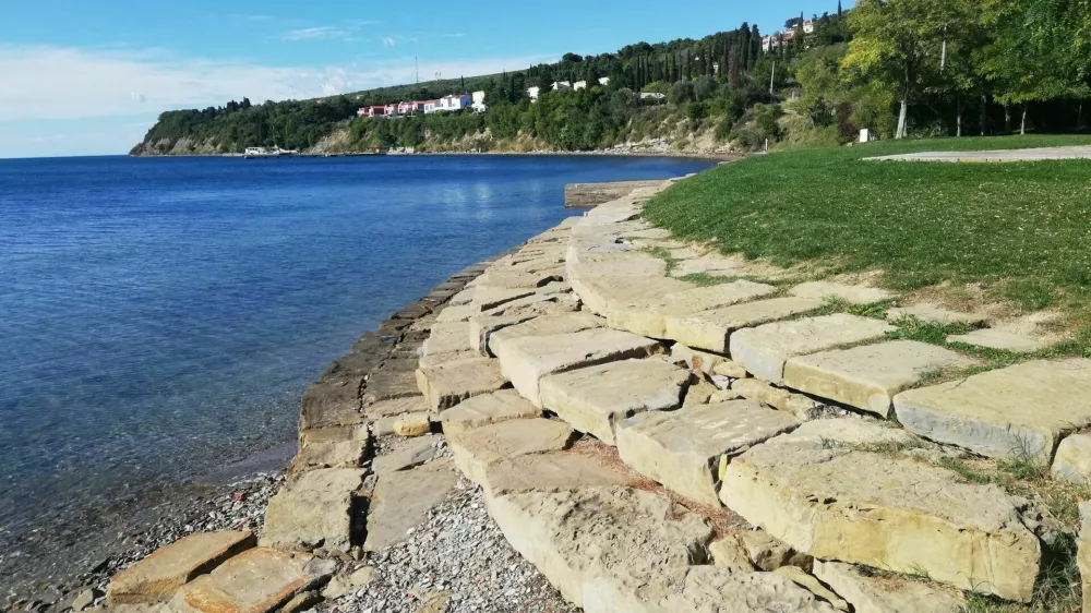 Ankaran - slani travnik