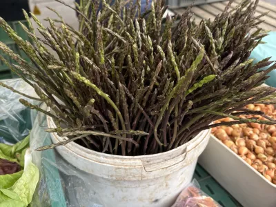 &Scaron;parglji, nabrani med trnjem in kačami