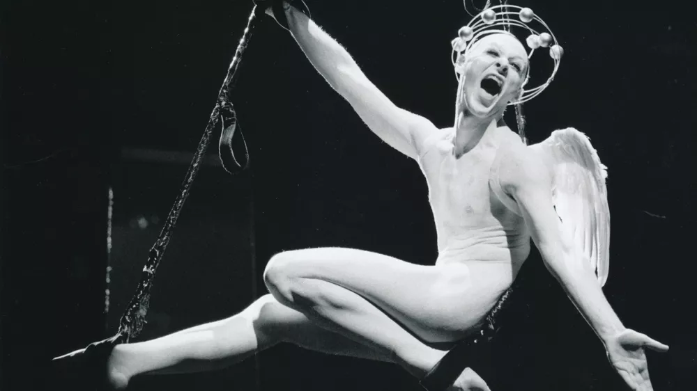 Dokumenti iskanja lepote