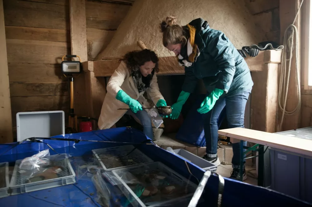 EXCLUSIVE: Story from Jam Press (Roman Shipwreck Hoard)Perfectly persevered treasure from 2,000-year old shipwreck found by diversDivers have uncovered a stunning haul of perfectly preserved treasure from a 2,000-year-old Roman shipwreck lying at the bottom of a lake.Hundreds of ancient objects were found resting on the lakebed &ndash; exactly where they settled when the vessel sank centuries ago.Remarkably, while the boat itself has long since vanished, its cargo remains largely intact.The incredible discovery was made in Lake Neuch&acirc;tel, Switzerland, after aerial photography in November 2024 spotted signs of submerged heritage.Follow-up dives and a full excavation in March 2025 revealed the extraordinary find, as reported by&nbsp;creatorzine.com.The operation is being led by the Cantonal Archaeology Office of Neuch&acirc;tel (OARC), alongside the Octopus Foundation and the Archaeological Service of the State of Fribourg.In a statement, officials said: "The richness and diversity of this collection of goods, in an excellent state of preservation, make this discovery exceptional, unique in Switzerland and in the inland waters north of the Alps."Experts believe the cargo dates from between 20 and 50 AD and once belonged to a Roman merchant vessel.Archaeologists said the find is particularly rare as the goods were not scattered, but preserved in a tight cluster &ndash; still reflecting how they had originally been packed and transported.But the race is now on to protect the fragile site.OARC warned the wreck is under threat from erosion, boat anchors and even looters.In a statement, the organisation said the cargo is exposed to "erosion of the lake bed, the anchoring of pleasure boats&hellip; and above all acts of vandalism and looting".They added that the most vulnerable items have already been recovered as a precaution.The haul includes hundreds of intact ceramic vessels &ndash; such as dishes, plates, bowls and cups &ndash; produced across the S.31 Mar 2026Pictured: Story from Jam Press (Roman Shipwreck Hoard)Pictured: Researchers examine finds from the dive.Perfectly persevered treasure from 2,000-year old shipwreck found by diversDivers have uncovered a stunning haul of perfectly preserved treasure from a 2,000-year-old Roman shipwreck lying at the bottom of a lake.Hundreds of ancient objects were found resting on the lakebed &ndash; exactly where they settled when the vessel sank centuries ago.Remarkably, while the boat itself has long since vanished, its cargo remains largely intact.The incredible discovery was made in Lake Neuch&acirc;tel, Switzerland, after aerial photography in November 2024 spotted signs of submerged heritage.Follow-up dives and a full excavation in March 2025 revealed the extraordinary find, as reported by&nbsp;creatorzine.com.The operation is being led by the Cantonal Archaeology Office of Neuch&acirc;tel (OARC), alongside the Octopus Foundation and the Archaeological Service of the State of Fribourg.In a statement, officials.,Image: 1087720567, License: Rights-managed, Restrictions: NO Australia, Germany, Norway, South Korea, Sweden, United Kingdom, United States, Unknown Country, Model Release: no, Pictured: Divers exploring the shipwreck