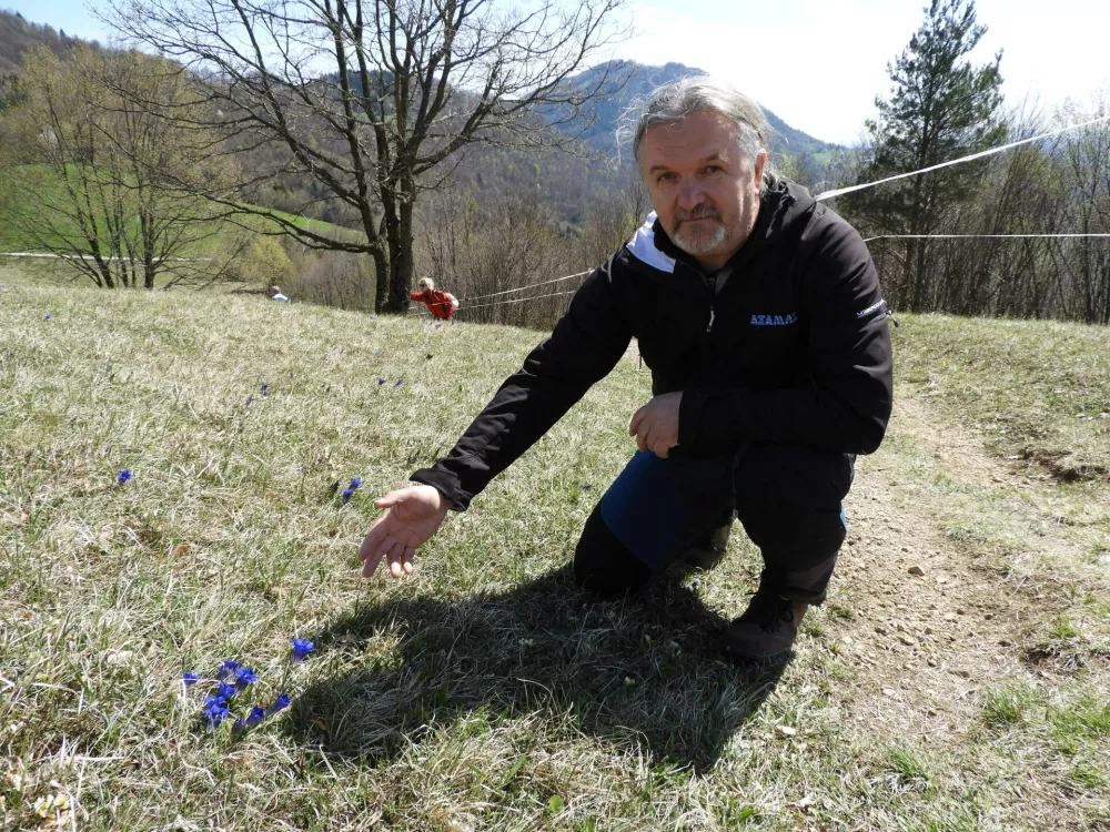 Du&scaron;an Klenov&scaron;ek in encijan, sveti Lovrenc / Foto: Katja Petrovec 
