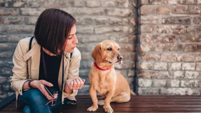 Žival lahko iz na&scaron;ega glasu razbere, kak&scaron;ni so na&scaron;i nameni. / Foto: Istock