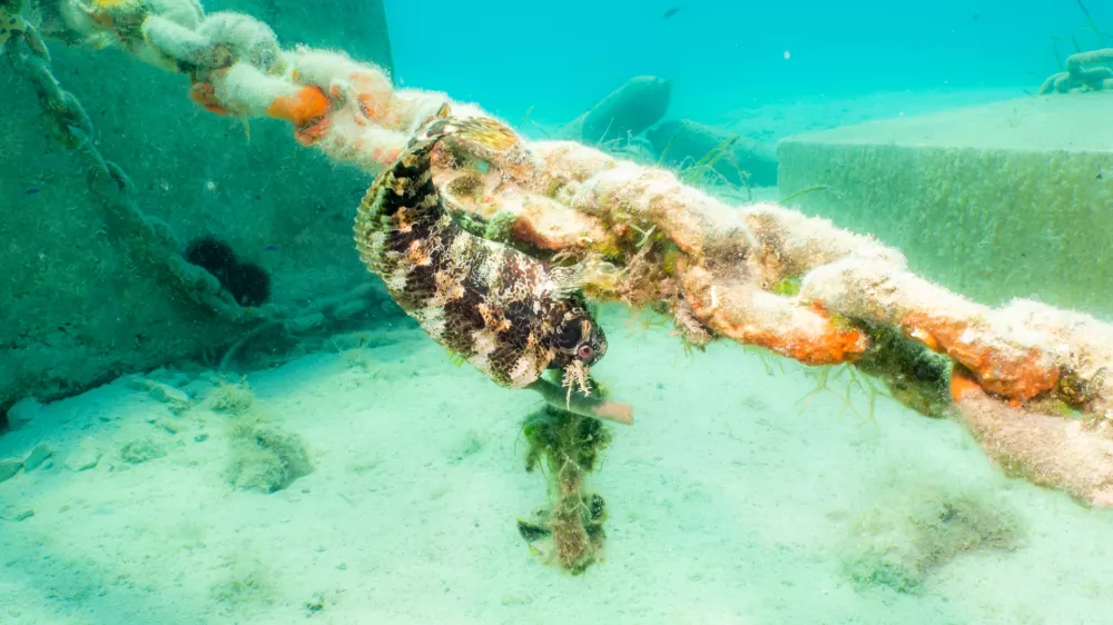 Pogled pod gladino Jadrana. Slika je simbolična. / Foto: Istock