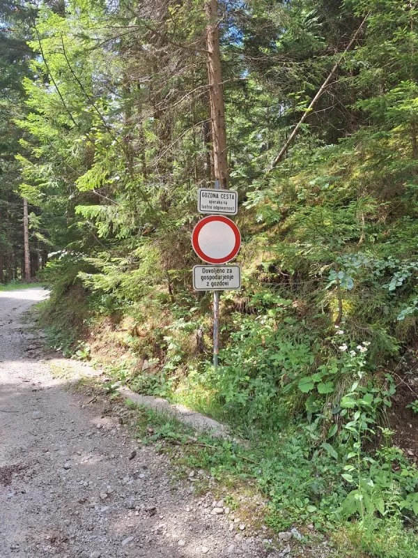 Gozd ni dirkali&scaron;če: Oglasi, ki po&scaron;iljajo napačno sporočilo o vožnji v naravi