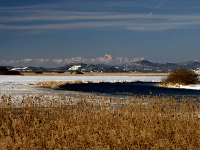 Cerkni&scaron;ko jezero mokri&scaron;ča